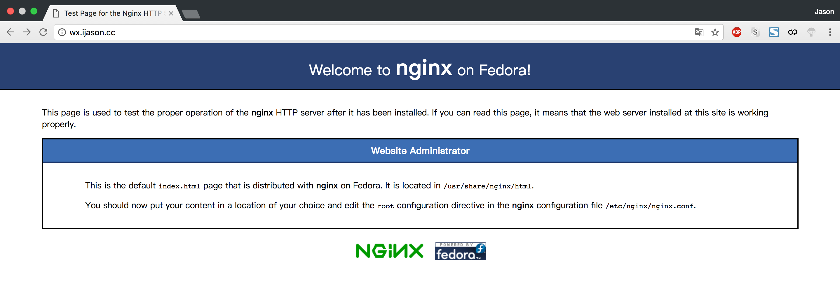 nginx index page